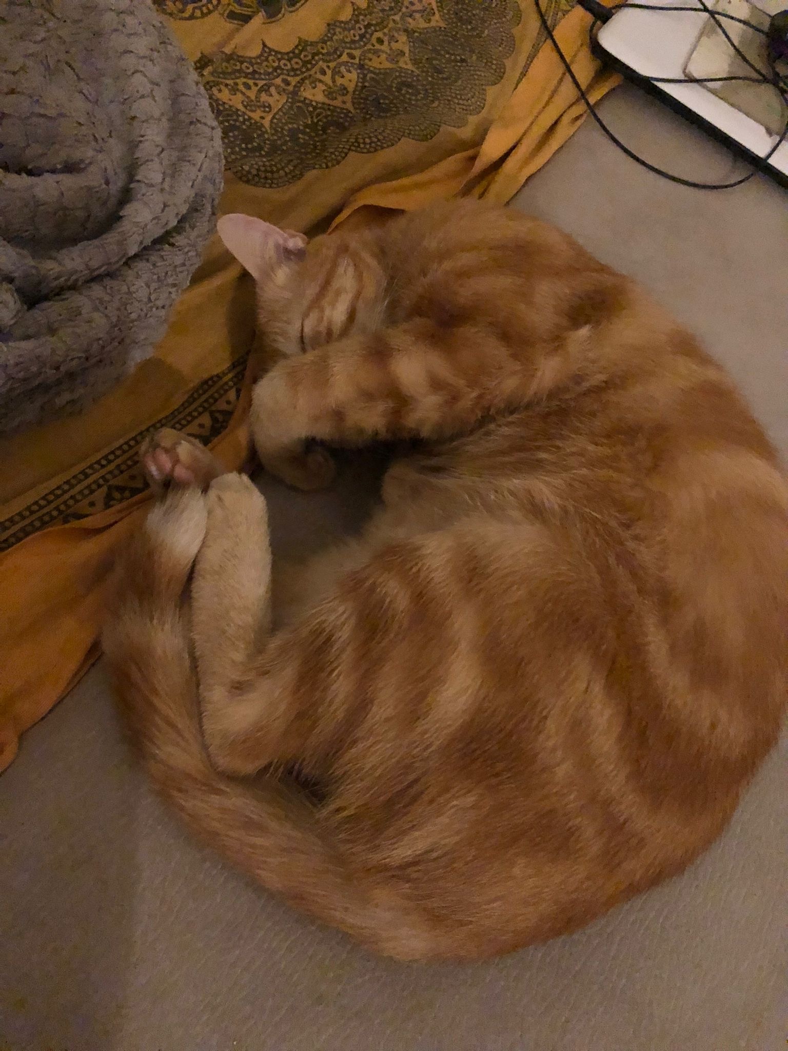 Hasen - Horrenbach - Berne | Plans Cul