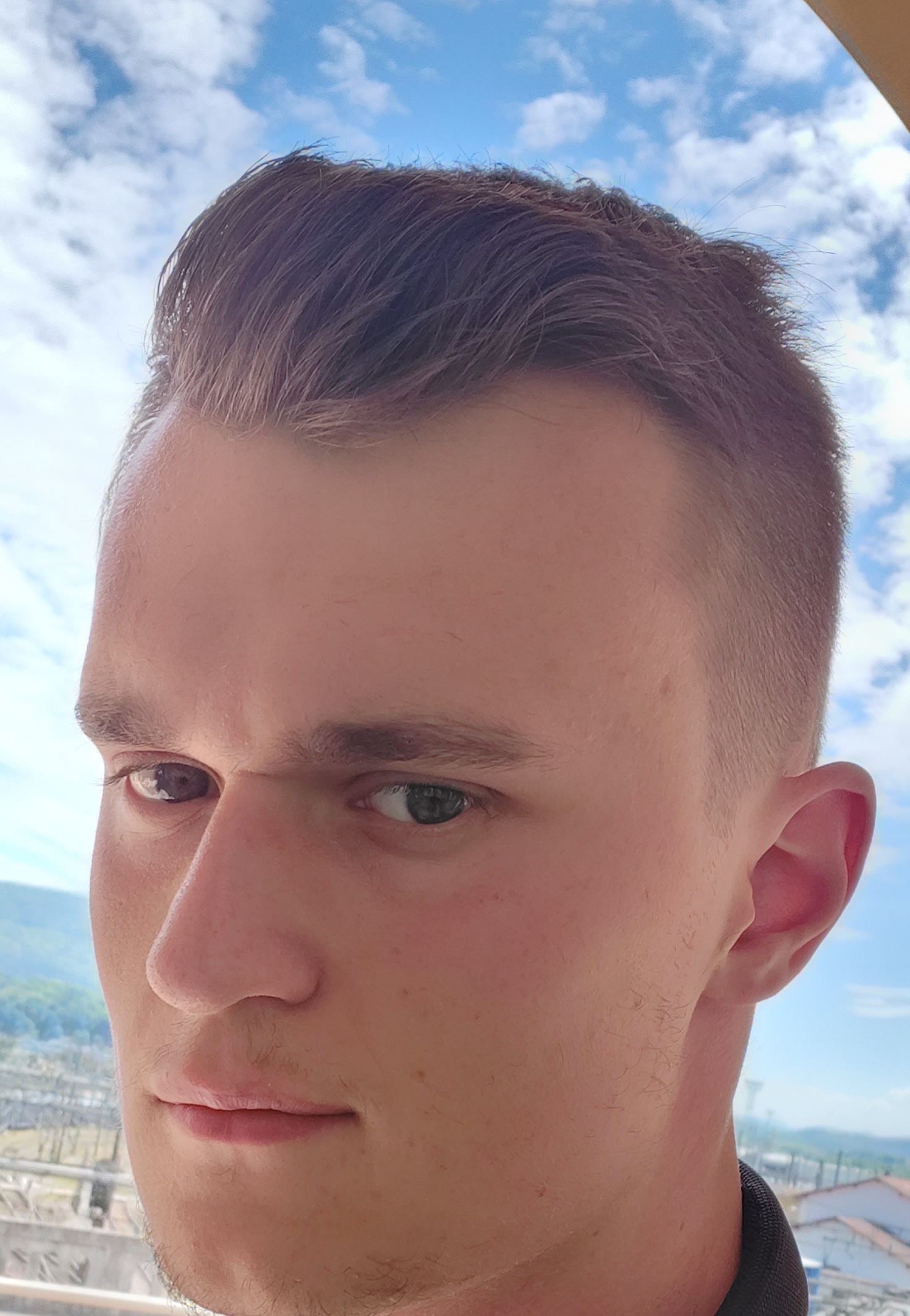 Forrest - Trin - Grisons | Plans Cul