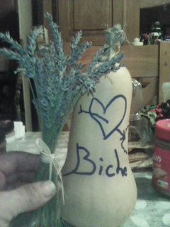 Yvan - Daillens - Vaud | Plans Cul