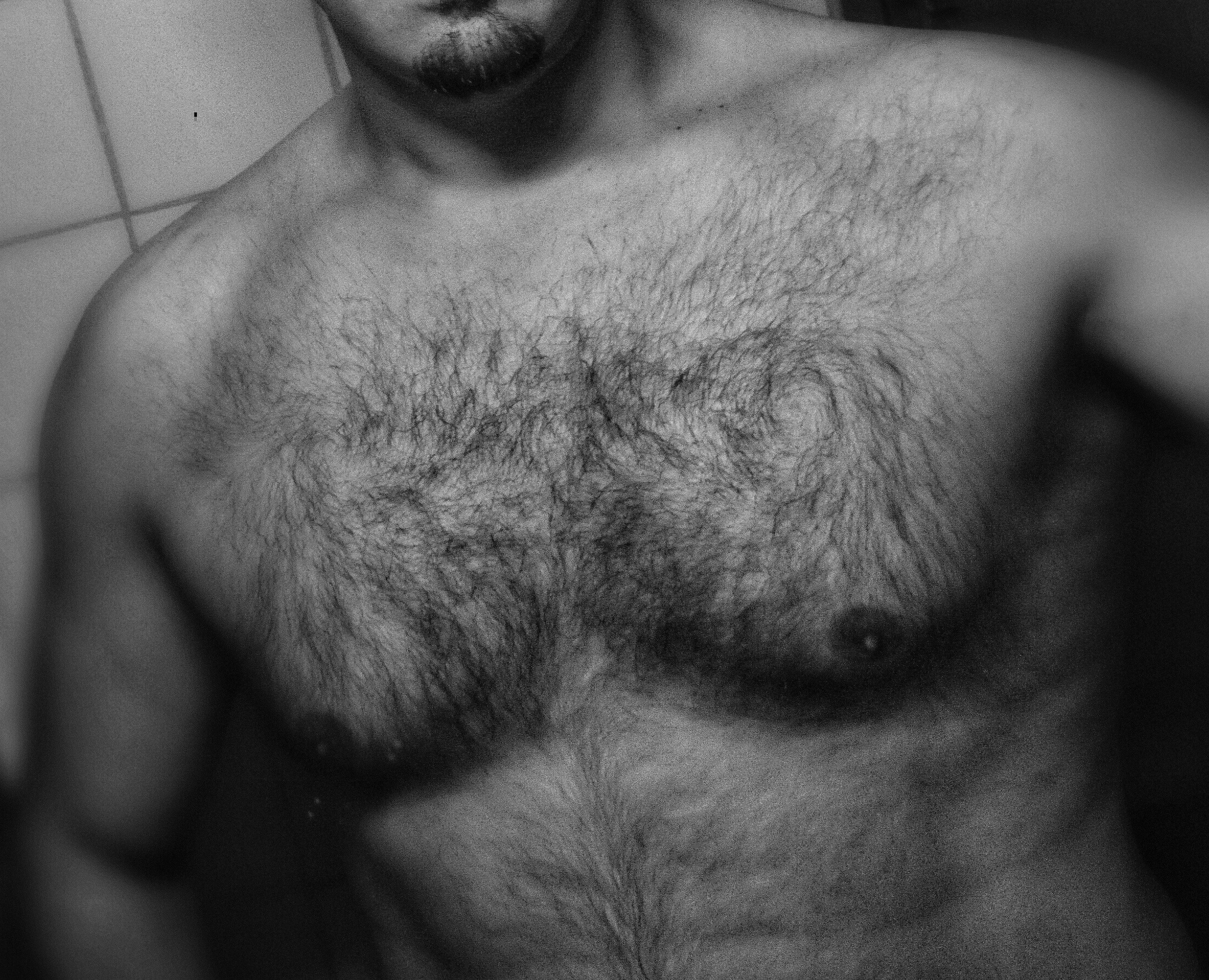 Veasna - Hallau - Schaffhouse | Plans Cul