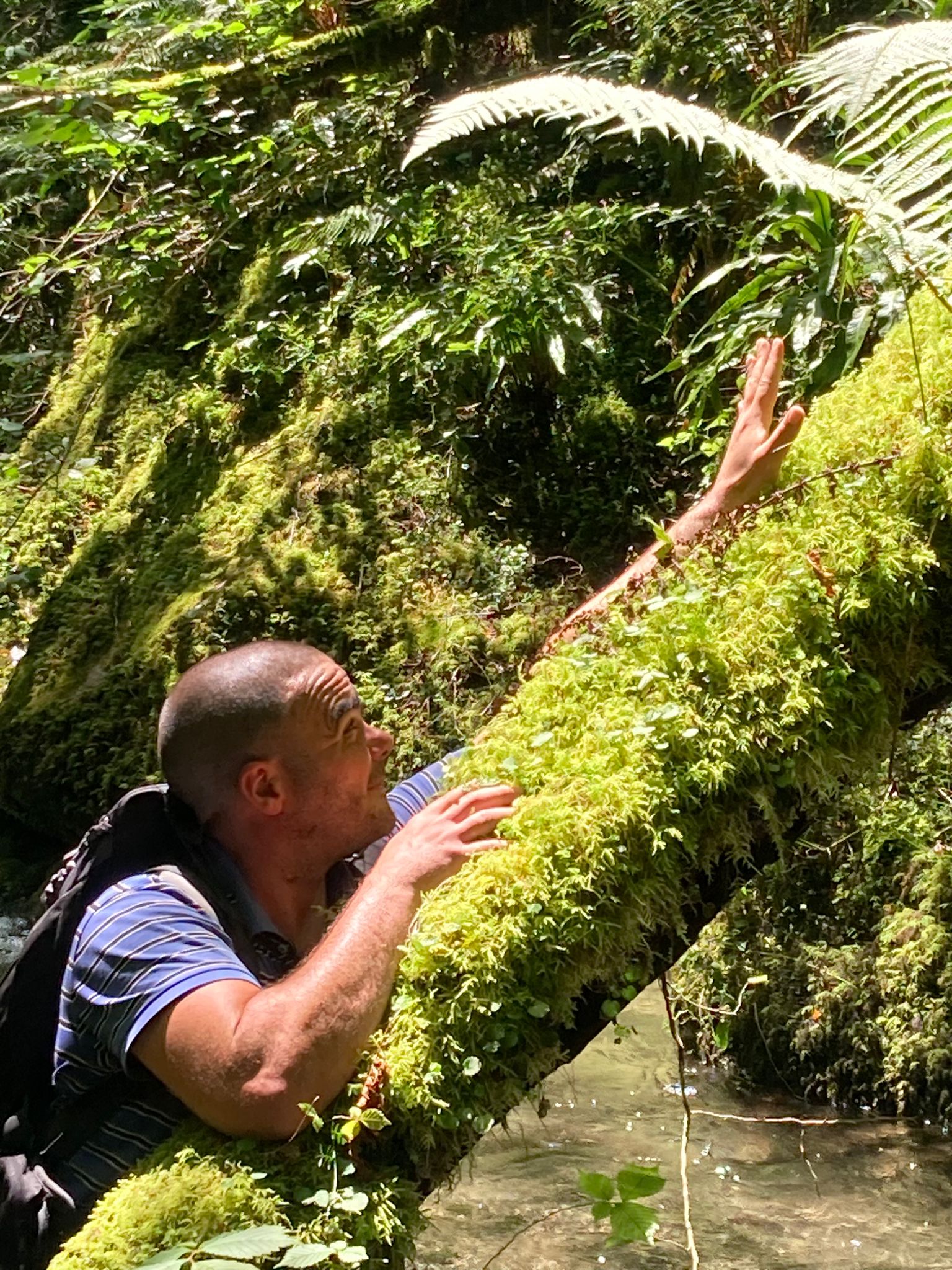 Abdelwadoud - Noréaz - Fribourg | Plans Cul