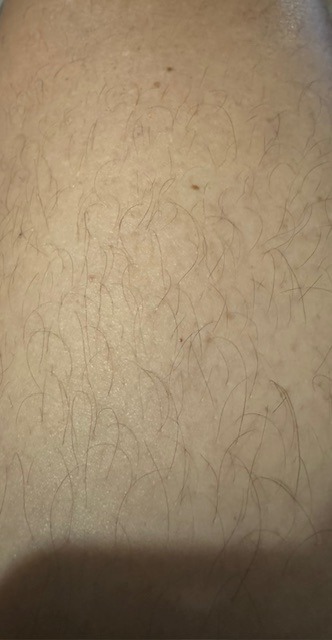 Dani - Donatyre - Vaud | Plans Cul