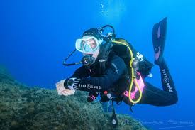 Maevan - Avenches - Fribourg | Plans Cul