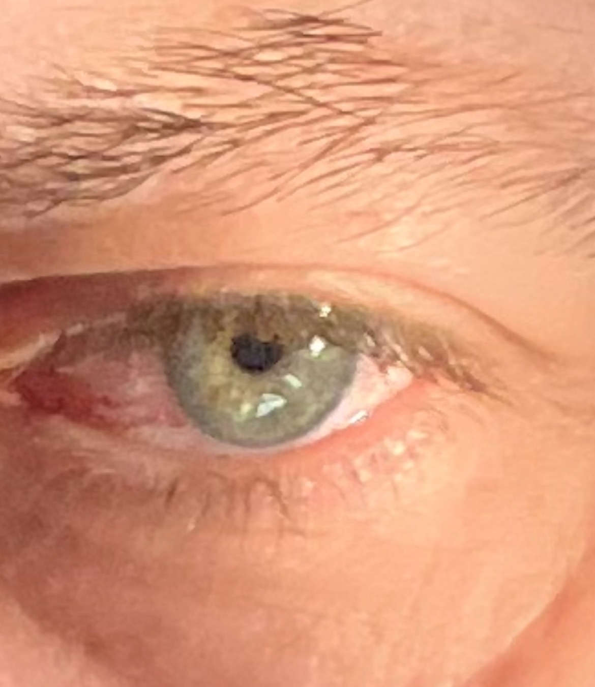 Chai - Brunnenthal - Soleure | Plans Cul