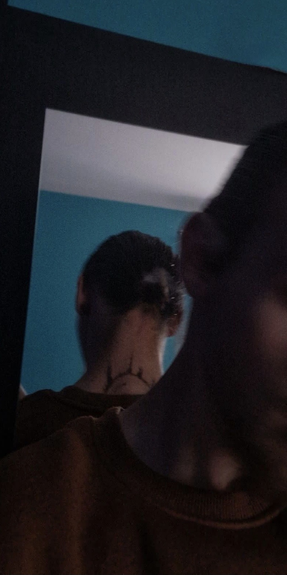 Ayoube - Rheinsulz - Argovie | Plans Cul