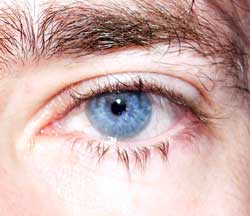 Ange-pierre - Champfèr - Grisons | Plans Cul