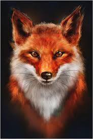 Hassan - Vasön - Saint-Gall | Plans Cul